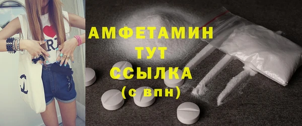 дживик Пересвет