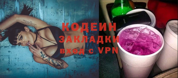дживик Пересвет