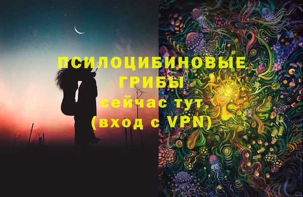 дживик Пересвет