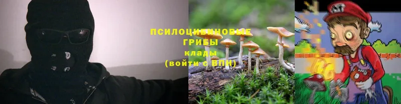 Псилоцибиновые грибы Psilocybe  где найти наркотики  дарк нет состав  Краснокаменск  МЕГА рабочий сайт 