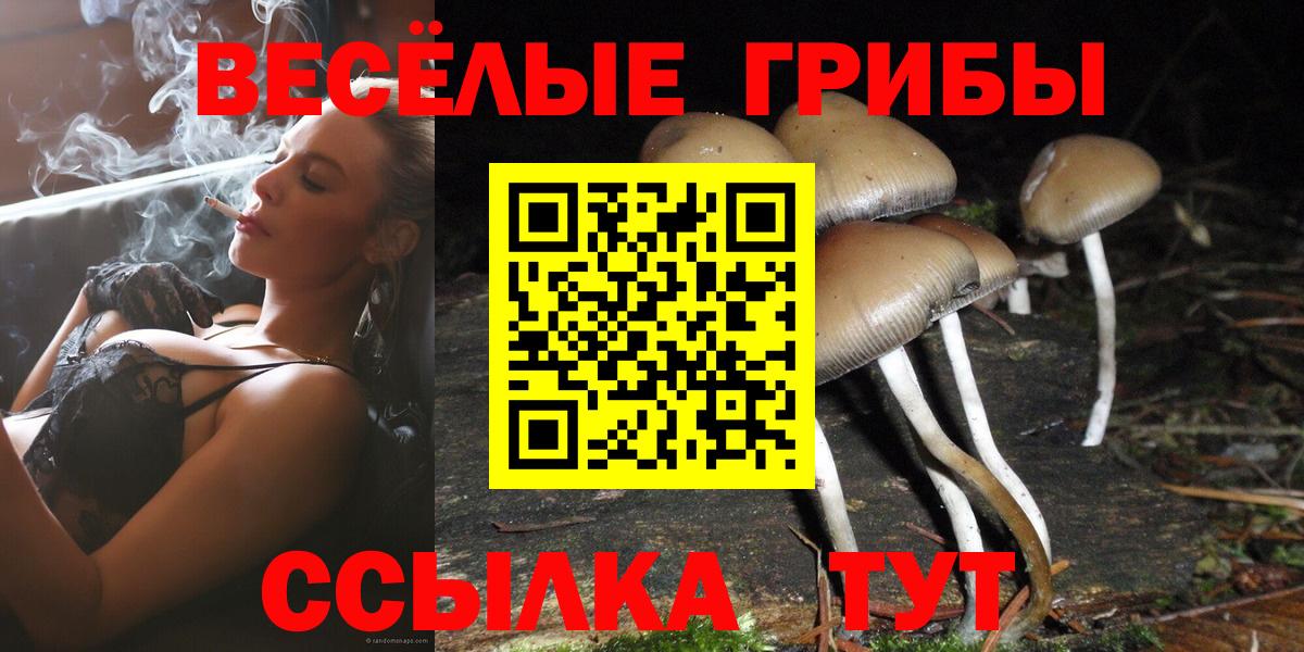 Псилоцибиновые грибы ЛСД  Псилоцибиновые грибы Cubensis  Краснокаменск 