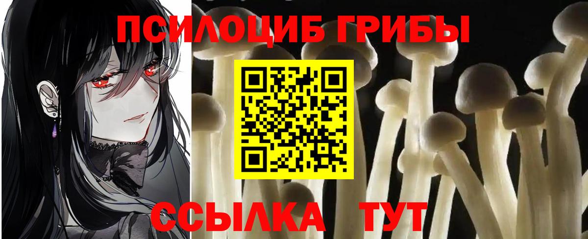 Псилоцибиновые грибы мухоморы Краснокаменск
