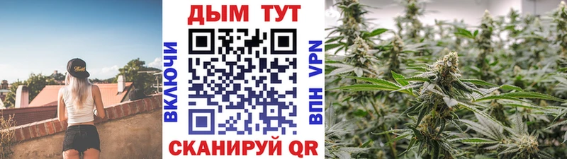 Бошки Шишки Amnesia  Краснокаменск 